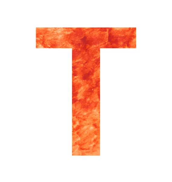T lettre terrestre — Image vectorielle