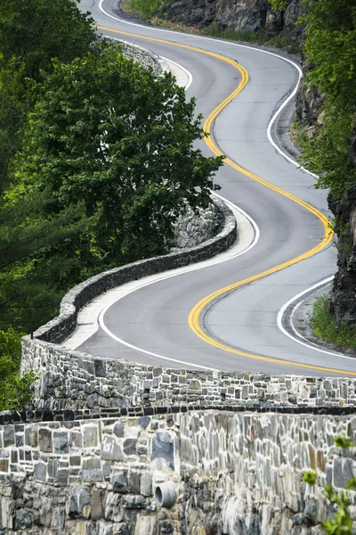 Hawk's nest — Stock Photo, Image