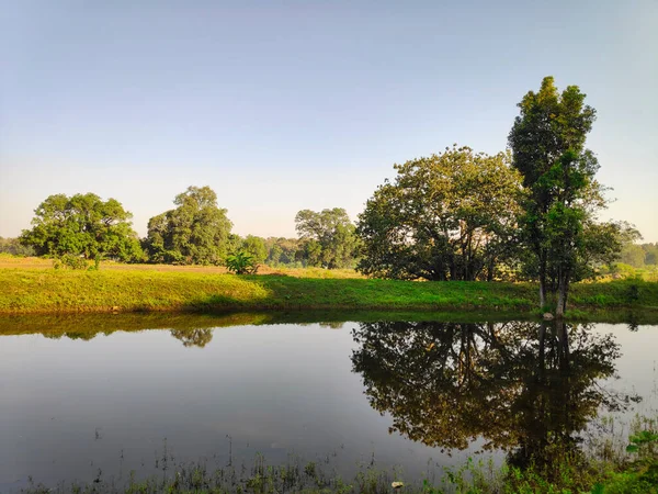 Uma Lagoa Uma Floresta Tropical Parque Nacional Índia — Fotografia de Stock