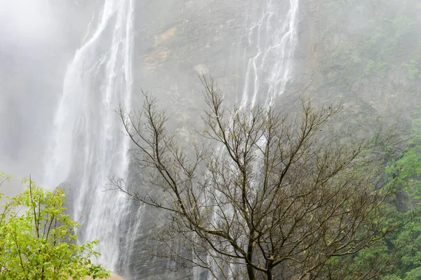 Mist Lush Green Jog Waterfalls Karnataka South India — Stock Photo, Image