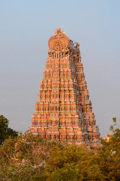 Beautiful Meenakshi Amman Temple Madurai South Indian State Tamil Nadu Telifsiz Stok Fotoğraflar