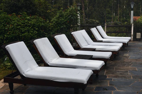 Seven Deck Pool Chairs Lounging Relaxing Outdoor Wooded Area — Fotografia de Stock