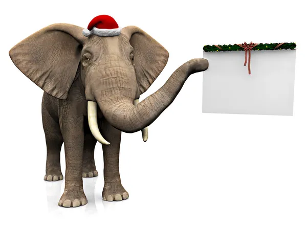 Olifant dragen KERSTMUTS. — Stockfoto