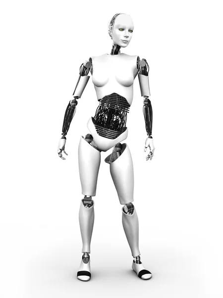 セクシーアンドロイド インテリア 女性体ロボット シルバー メッキ