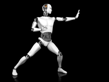 karate poz mücadele erkek robot.