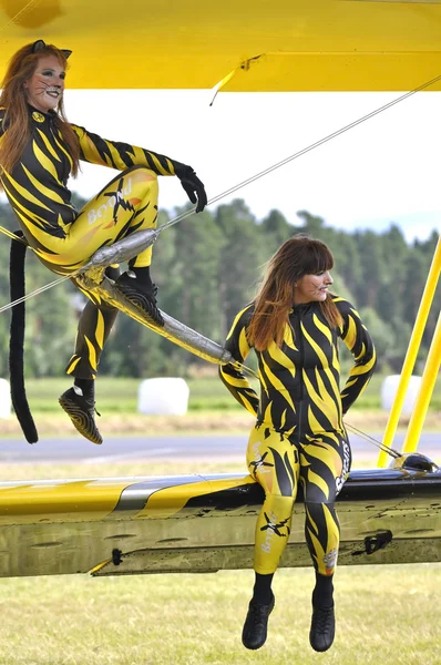 航空ショー — ストック写真