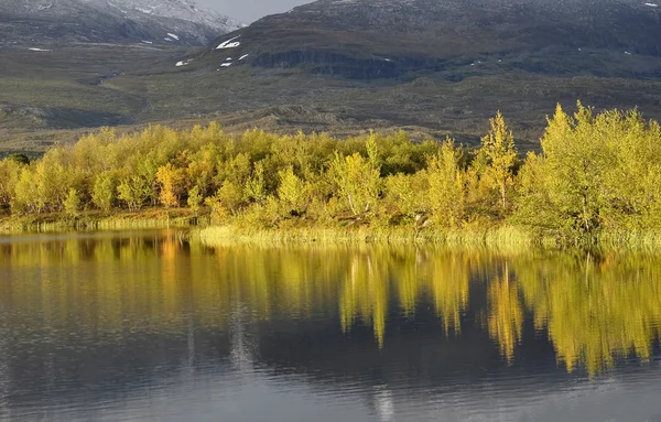 Lugna sjön reflektion — Stockfoto