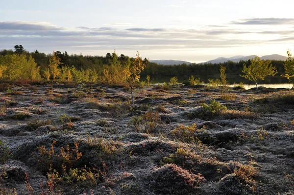 Berglandschap — Stockfoto