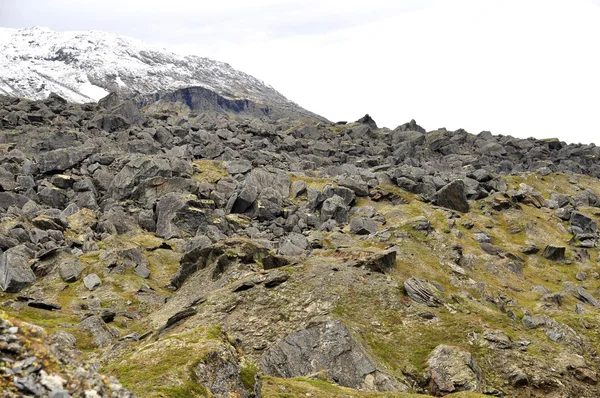 Berglandschap — Stockfoto