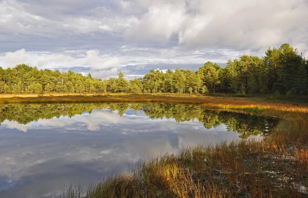 Klidné jezero reflexe — Stock fotografie