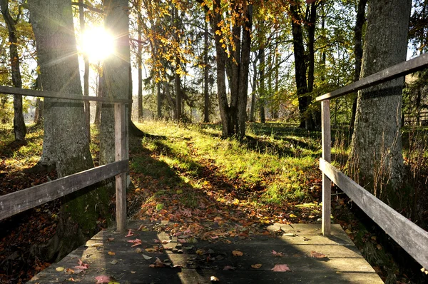 Yol. — Stok fotoğraf