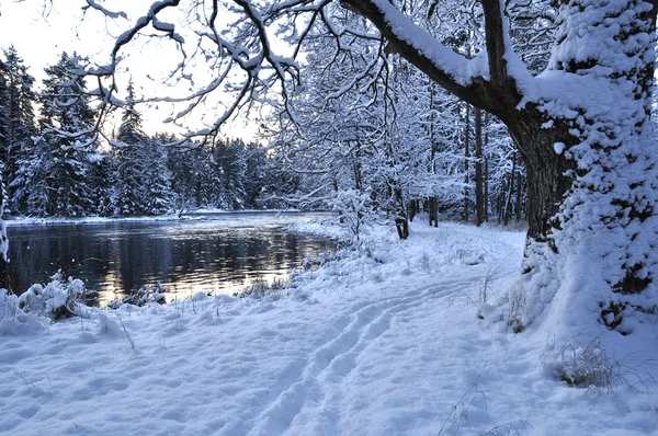 Rivierlandschap — Stockfoto