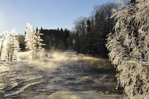 River landscape — Stock Photo, Image