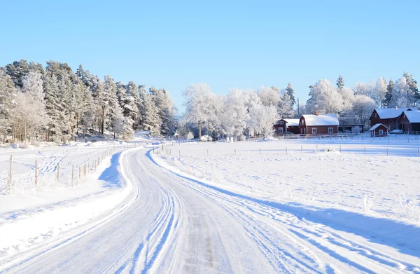 Wintry road — Stock Photo, Image