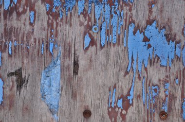 mavi kapı arkaplanı