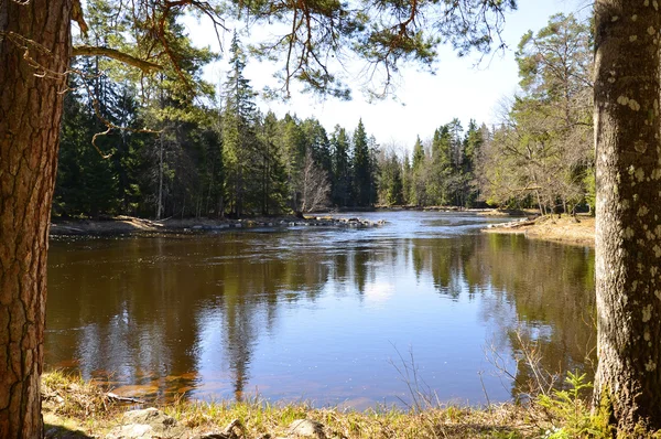 Fiume svedese — Foto Stock