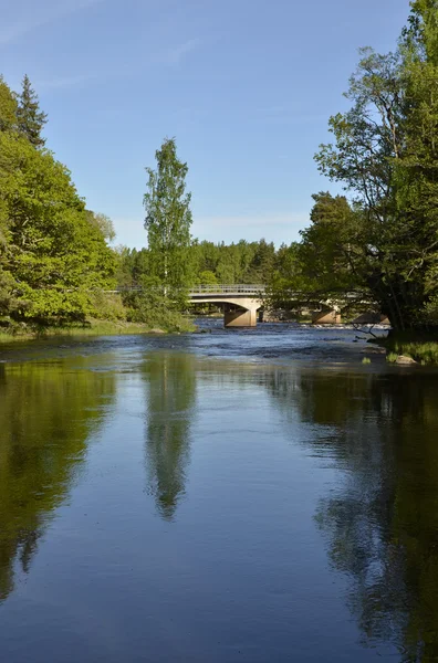 Swedish river — Stock Photo, Image