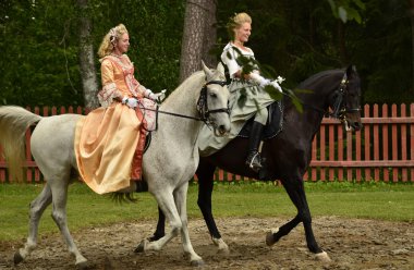 Gümüş Madeni kutlama