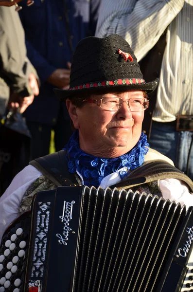 Muziek in Zweden — Stockfoto