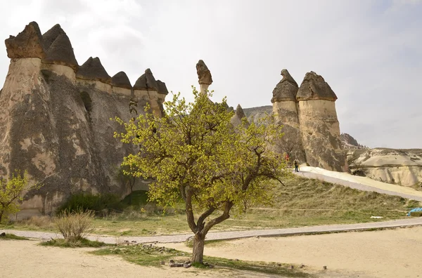 Cappadocia — Stock Photo, Image