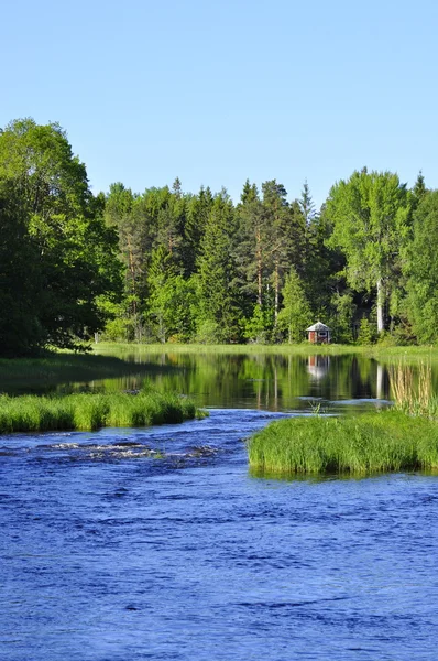 Spring river — Stock Photo, Image