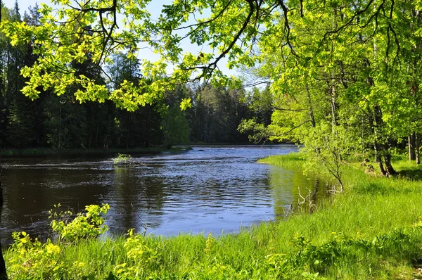 Fiume di primavera — Foto Stock