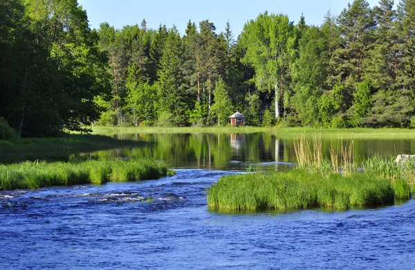 Spring river — Stock Photo, Image