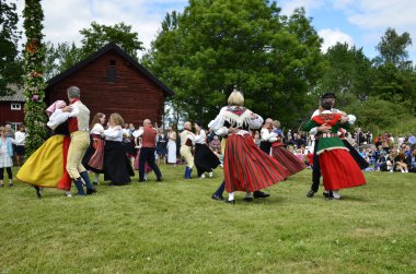 folklor topluluğu, İsveç