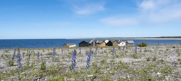 Cabanes Pêcheurs Sur Côte Est Suédoise Cabanes Sur Île Gotland — Photo
