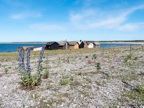 Cabanes Pêcheurs Sur Côte Est Suédoise Cabanes Sur Île Gotland — Photo