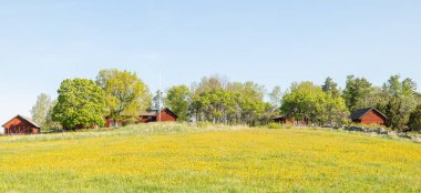 Baharda güzel bir çiftlik arazisinde tipik kırmızı bir kulübe..
