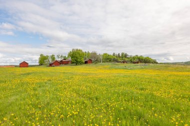 Baharda güzel bir çiftlik arazisinde tipik kırmızı bir kulübe..