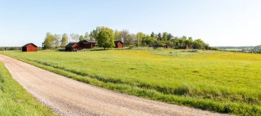 Baharda güzel bir çiftlik arazisinde tipik kırmızı bir kulübe..