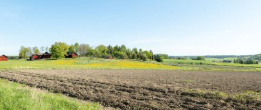 Baharda güzel bir çiftlik arazisinde tipik kırmızı bir kulübe..