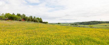 Baharda güzel bir çiftlik arazisinde tipik kırmızı bir kulübe..