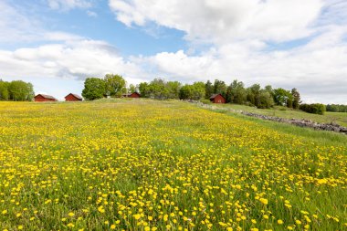 Baharda güzel bir çiftlik arazisinde tipik kırmızı bir kulübe..