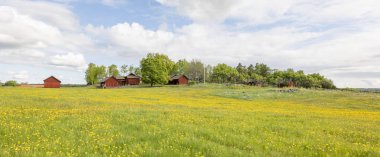 Baharda güzel bir çiftlik arazisinde tipik kırmızı bir kulübe..