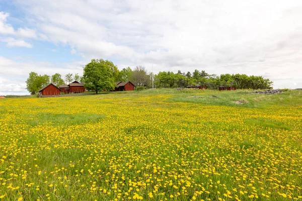 Una Casa Campo Típicamente Roja Hermoso Paisaje Granja Primavera — Foto de Stock