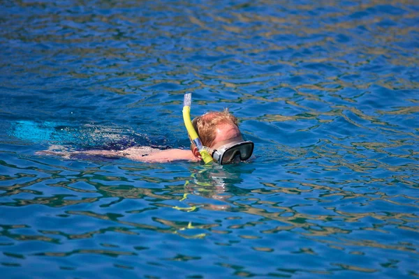 Snorkling in the blue water — Stock Photo, Image