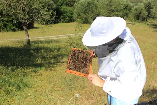 与蜂群的养蜂人 — 图库照片