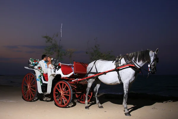 Strand bruiloft: bruid en bruidegom op een slede — Stockfoto