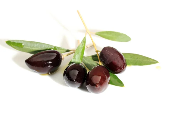 Green olives on branch with leaves — Stock Photo, Image