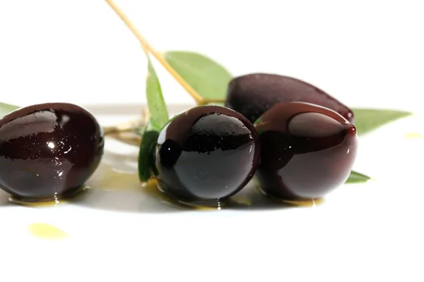 Grüne Oliven auf Zweig mit Blättern — Stockfoto