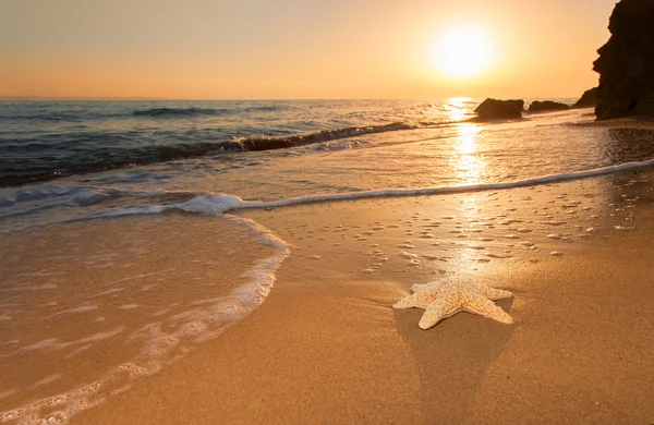 Estrella de mar en la playa — Foto de Stock