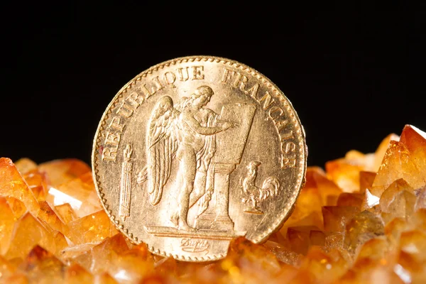 二十法国法郎硬币 — 图库照片
