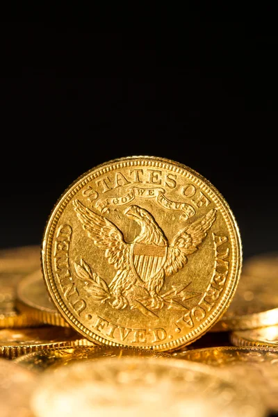 五美元黄金硬币 — 图库照片