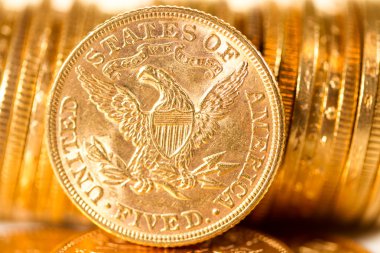 beş dolar altın paralar