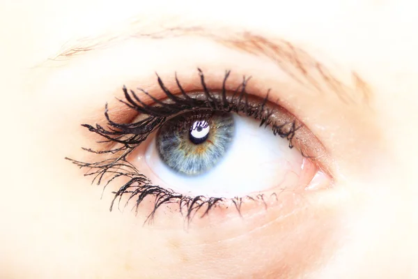 Beautiful blue eye — Stock Photo, Image