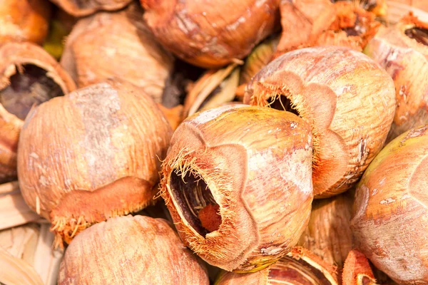 Coconuts drying in the sun — Stock Photo, Image