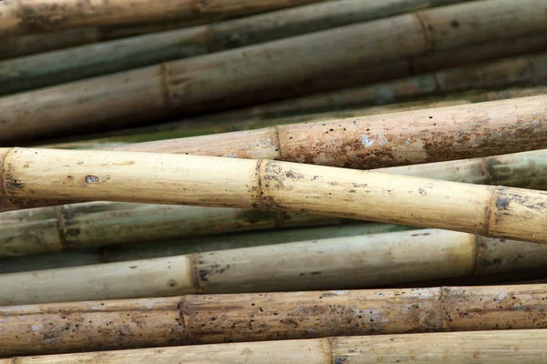 Stack of bamboos — Stock Photo, Image